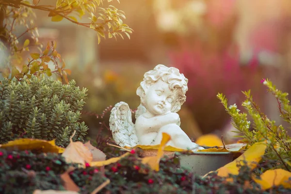 Vit Ängel Grav Kyrkogård Blommor — Stockfoto