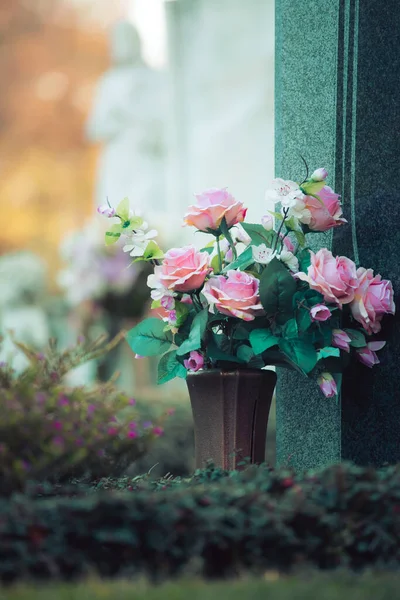 墓地の墓の上の美しいバラの終わり — ストック写真