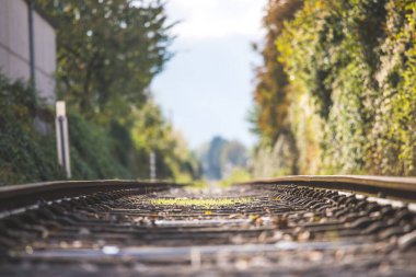 Sonbaharda terk edilmiş eski bir demiryolunun manzarası. Sıcak ışık, sürdürülebilir seyahat