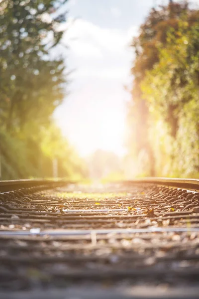 Sonbaharda Terk Edilmiş Eski Bir Demiryolunun Manzarası Sıcak Işık Sürdürülebilir — Stok fotoğraf