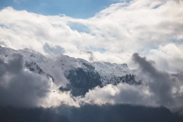 Montañas Nevadas Invierno Paisaje Alpes Austria — Foto de Stock