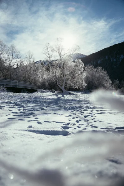 Idyllisch Winterlandschap Houten Brug Besneeuwde Bomen Bergketen Achtergrond — Stockfoto