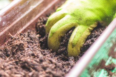 Sebze ve bitki yetiştirmek için verimli topraklar.