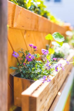 Bahar çiçekleri kendi yaptığı ahşap çiçek kutusu, Euro paleti