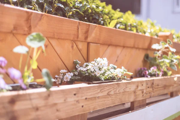 Spring flowers on self-made wooden flower box, euro palette