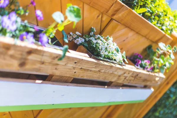 Frühlingsblumen Auf Selbstgemachtem Holzblumenkasten Euro Palette — Stockfoto