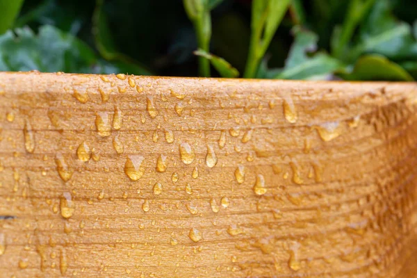 Primer Plano Grandes Gotas Agua Sobre Madera Lacada Después Lluvia —  Fotos de Stock