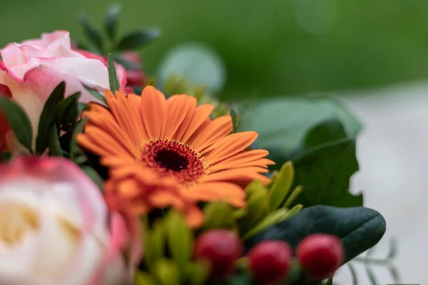 Close Tender Orange Gerbera Floral Bouquet — Stok fotoğraf