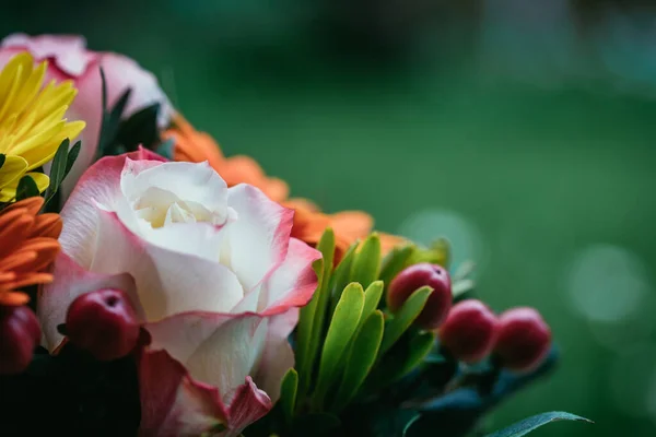 Close Tender Pink Rose Floral Bouquet — Foto Stock