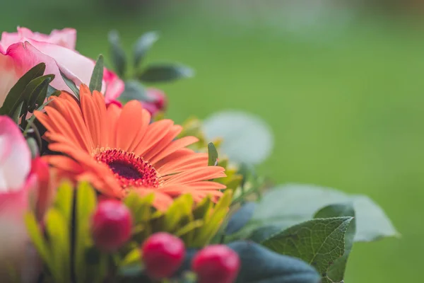 Close Tender Orange Gerbera Floral Bouquet — Stockfoto