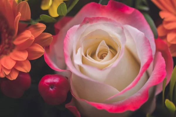 Close Tender Pink Rose Floral Bouquet — Φωτογραφία Αρχείου