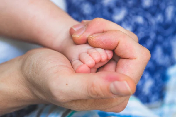 Nahaufnahme Der Hände Der Mutter Die Neugeborene Babyfüße Hält — Stockfoto