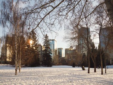 Calgary, Alberta, Kanada - 5 Ocak 2013 Calgary şehir merkezi kışın öğleden sonra karlı bir Prince 's Island Park manzarası
