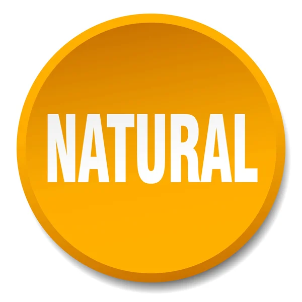 Laranja natural rodada plana botão isolado —  Vetores de Stock