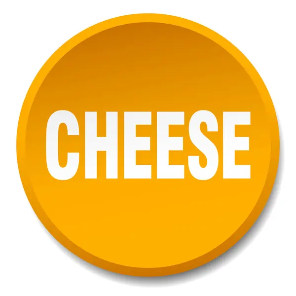 Cheese orange round flat isolated push button — Stock Vector