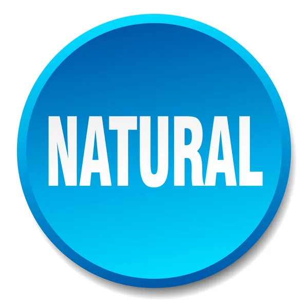 Pulsador plano plano redondo azul natural aislado — Vector de stock