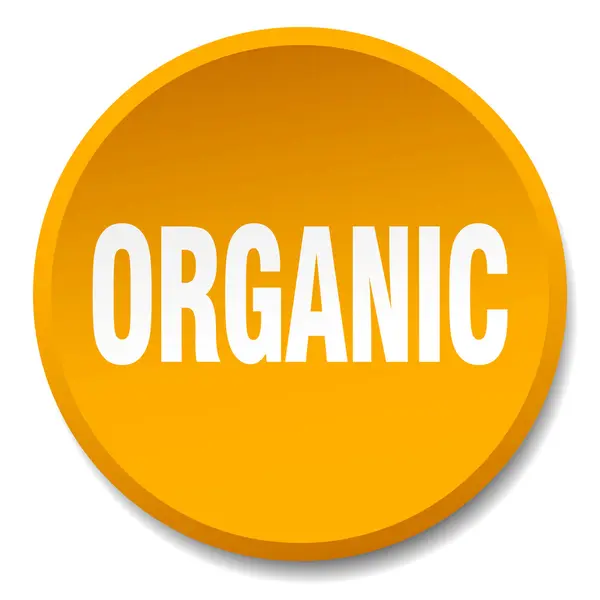 Organico arancio rotondo piatto isolato pulsante — Vettoriale Stock