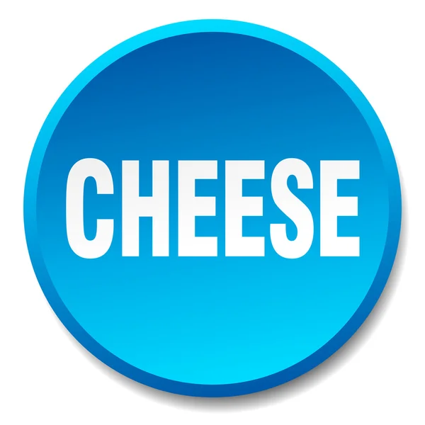 Cheese blue round flat isolated push button — Stock Vector