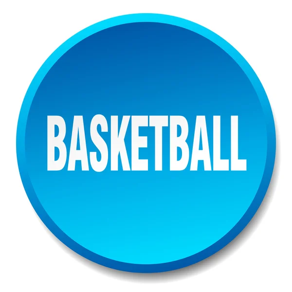 Baloncesto azul ronda plana pulsador aislado — Vector de stock