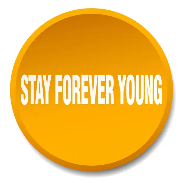 Stay forever young orange round flat isolated push button — Stock Vector