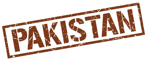 巴基斯坦棕色方形邮票 — 图库矢量图片