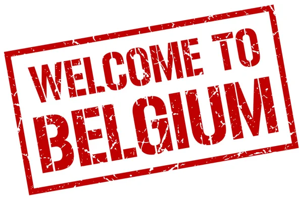 Welcome to Belgium stamp — Stock Vector