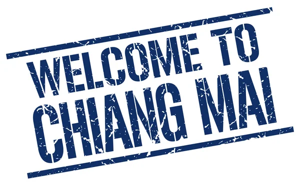 Benvenuto a timbro Chiang mai — Vettoriale Stock