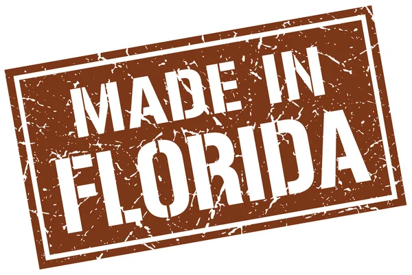 Gemaakt in florida stempel — Stockvector