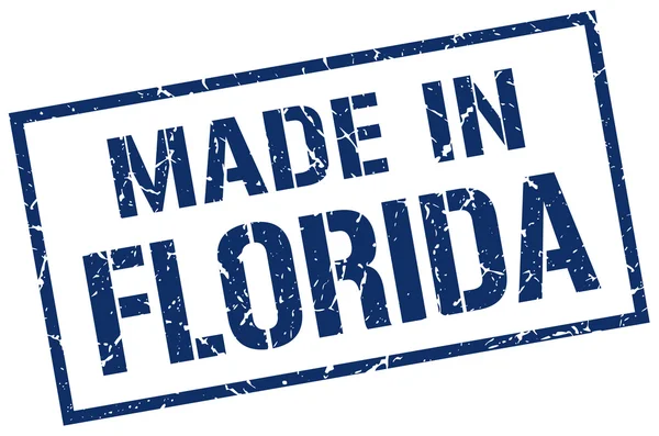 Gemaakt in florida stempel — Stockvector