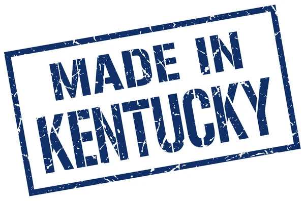 Gemaakt in kentucky stempel — Stockvector