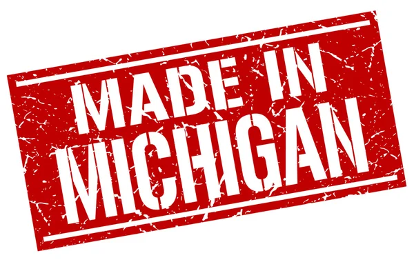 Michigan damga yapılmış — Stok Vektör