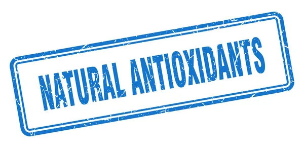 Naturliga Antioxidanter Stämpel Kvadrat Grunge Tecken Isolerad Vit Bakgrund — Stock vektor