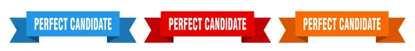 Perfect Candidate Ribbon Perfect Candidate Isolated Paper Banner Sign — Stockvector