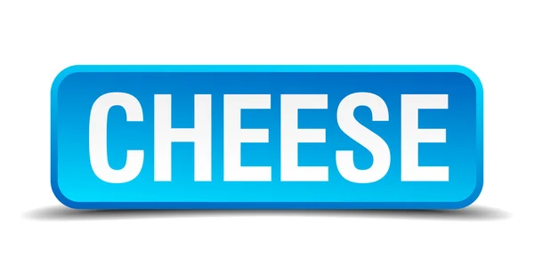 チーズ青の 3 d リアルな正方形分離ボタン — ストックベクタ