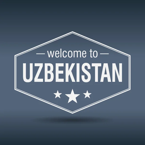 Добро пожаловать в Узбекистан шестиугольный белый винтажный лейбл — стоковый вектор