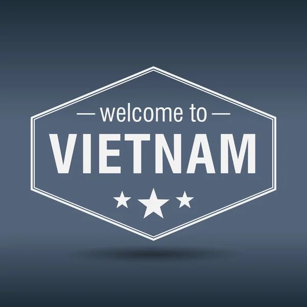 Bienvenue au Vietnam hexagonale étiquette vintage blanche — Image vectorielle