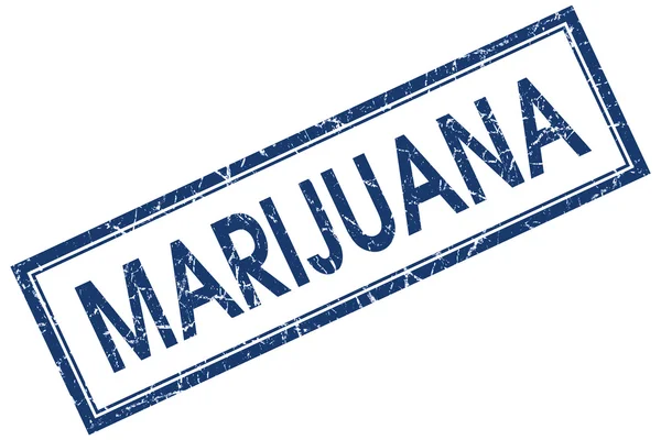 Marihuana blaue quadratische Marke isoliert auf weißem Hintergrund — Stockfoto