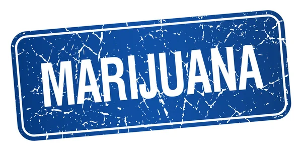 Marijuana blu quadrato grunge strutturato isolato timbro — Vettoriale Stock