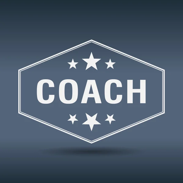 Coach sechseckigen weißen Vintage-Retro-Stil Etikett — Stockvektor