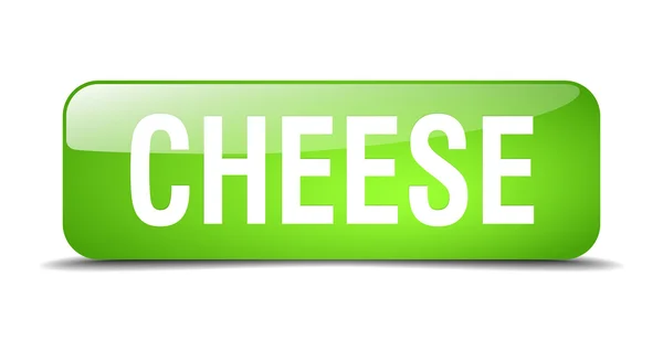 Cheese green square 3d realistic isolated web button — Stockový vektor