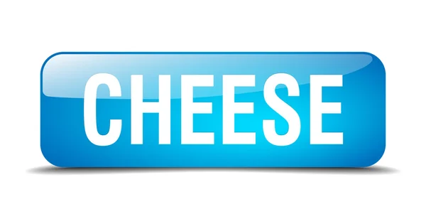 Cheese blue square 3d realistic isolated web button — Stock Vector