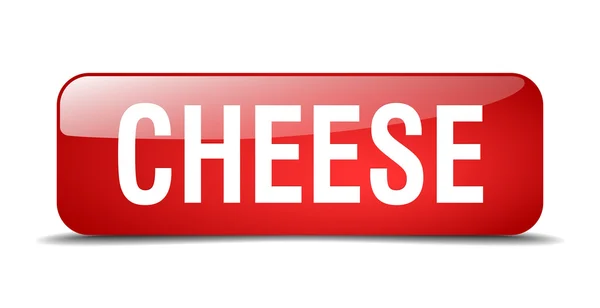 Käse rot quadratisch 3d realistisch isoliert Web-Taste — Stockvektor