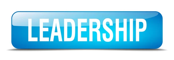 Leadership blu quadrato 3d realistico isolato pulsante web — Vettoriale Stock
