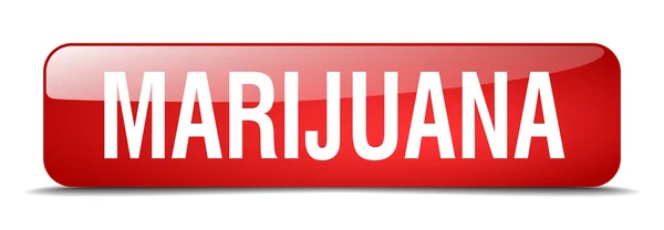 Marihuana rojo cuadrado 3d realista aislado botón web — Vector de stock