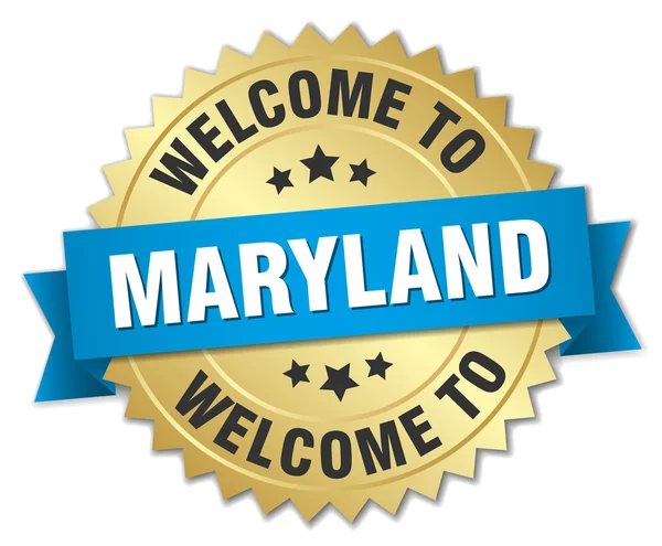 Maryland 3d insignia de oro con cinta azul — Archivo Imágenes Vectoriales