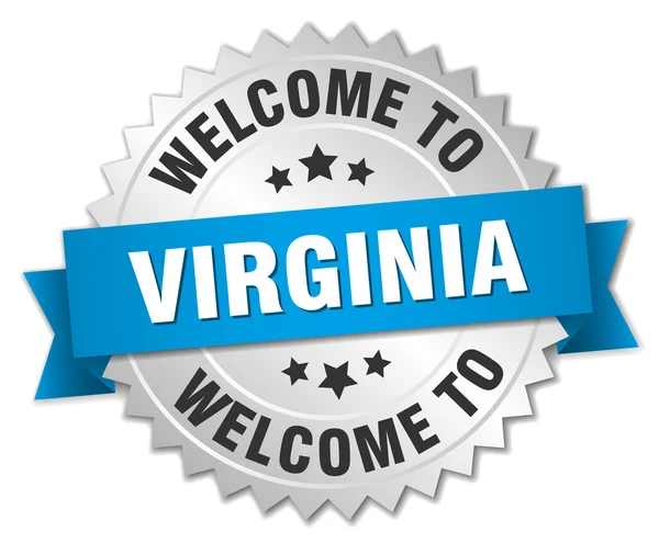 Virginia 3d silver badge with blue ribbon — Stock Vector
