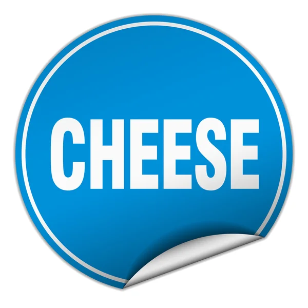 Sýr kulatý modrý štítek izolovaných na bílém — Stockový vektor