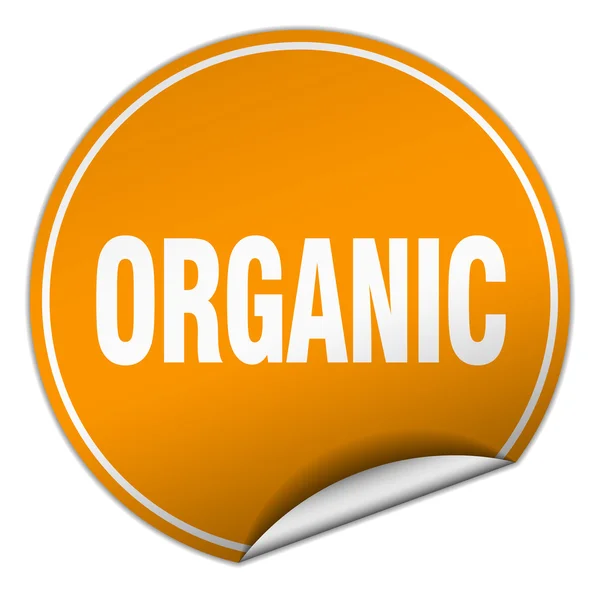 Etiqueta engomada redonda naranja orgánica aislada en blanco — Vector de stock