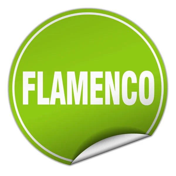 Flamenco redondo adesivo verde isolado no branco — Vetor de Stock