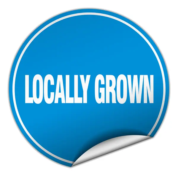 Locally grown round blue sticker isolated on white — Stock Vector